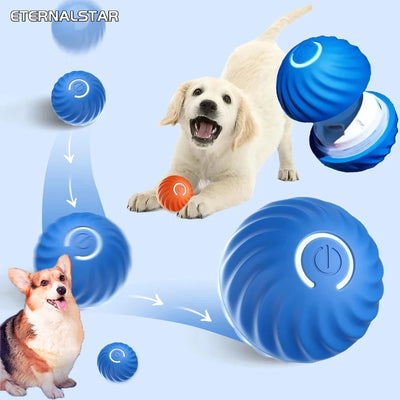 BouncyBright Smart Dog Toy Ball