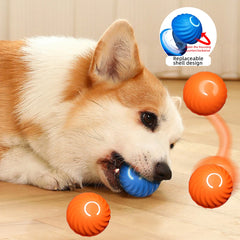 BouncyBright Smart Dog Toy Ball