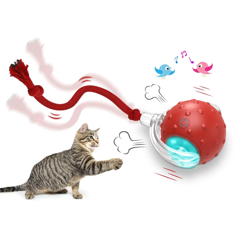 Interactive Rolling Cat Toy Ball